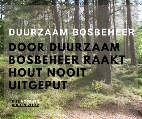 DUURZAAM BOSBEHEER.png