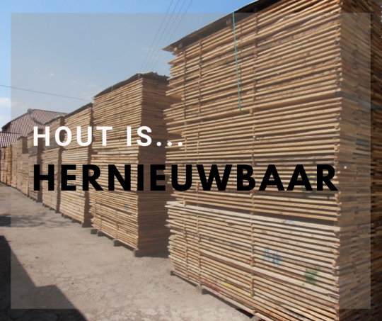 Hout-is-hernieuwbaar2-1598869796.png